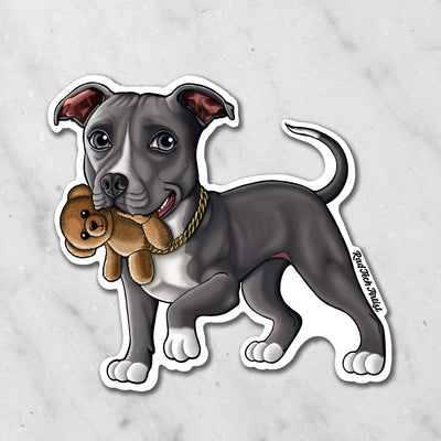 Magnet of a blue and white American Pit Bull holding a teddy bear on a marble background