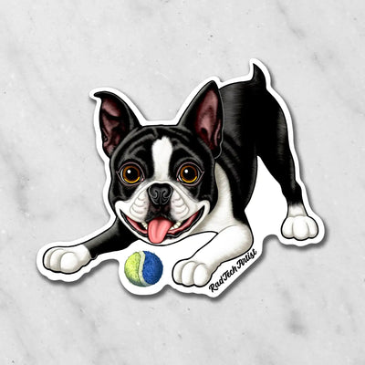 Magnet of a Boston Terrier with a ball on a marble background