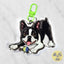 A custom acrylic keychain featuring a cartoon Boston Terrier dog holding a tennis ball, attached to a bright green swivel clasp, on a light gray marble background.