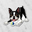 Magnet of a Boston Terrier with a ball on a marble background