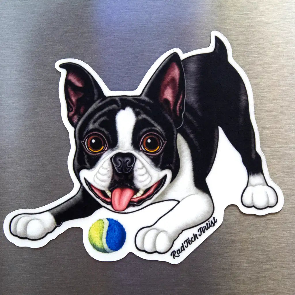 Boston Terrier dog magnet with black and white coat and red tongue, shown with a yellow and blue ball on a stainless steel fridge surface.