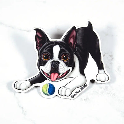 Magnet of a black and white Boston Terrier with a tennis ball on a white marble background