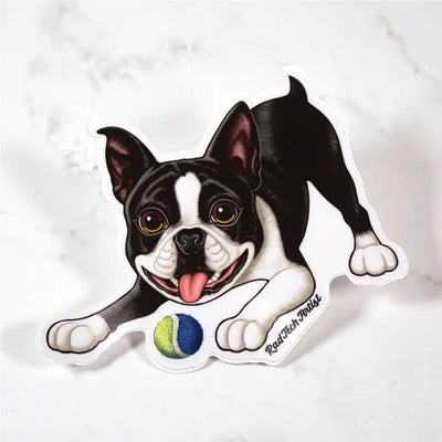 Sticker of a black and white Boston Terrier with a tennis ball on a marble surface