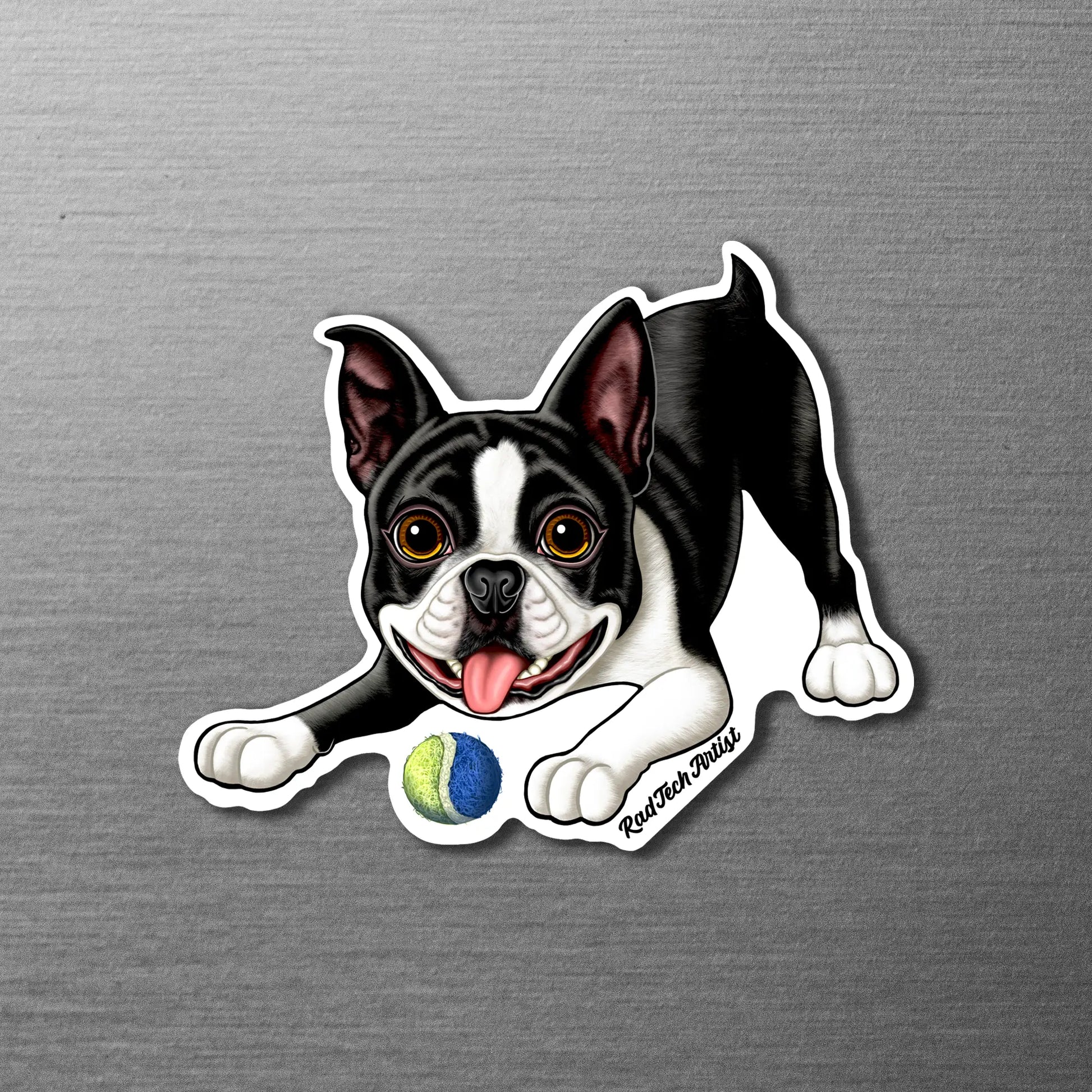 Magnet of a black and white Boston Terrier with a tennis ball on a metallic surface