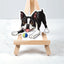 Sticker of a black and white Boston Terrier on a small wooden easel with a white background