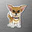 Magnet of a fawn apple head Chihuahua  on a metallic surface