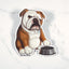 Magnet of a red and white English bulldog with a bowl on a marble surface