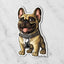 Magnet of a fawn French Bulldog with a silver chain collar on a marble background