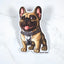 Magnet of a fawn French Bulldog with a chain collar on a light gray background