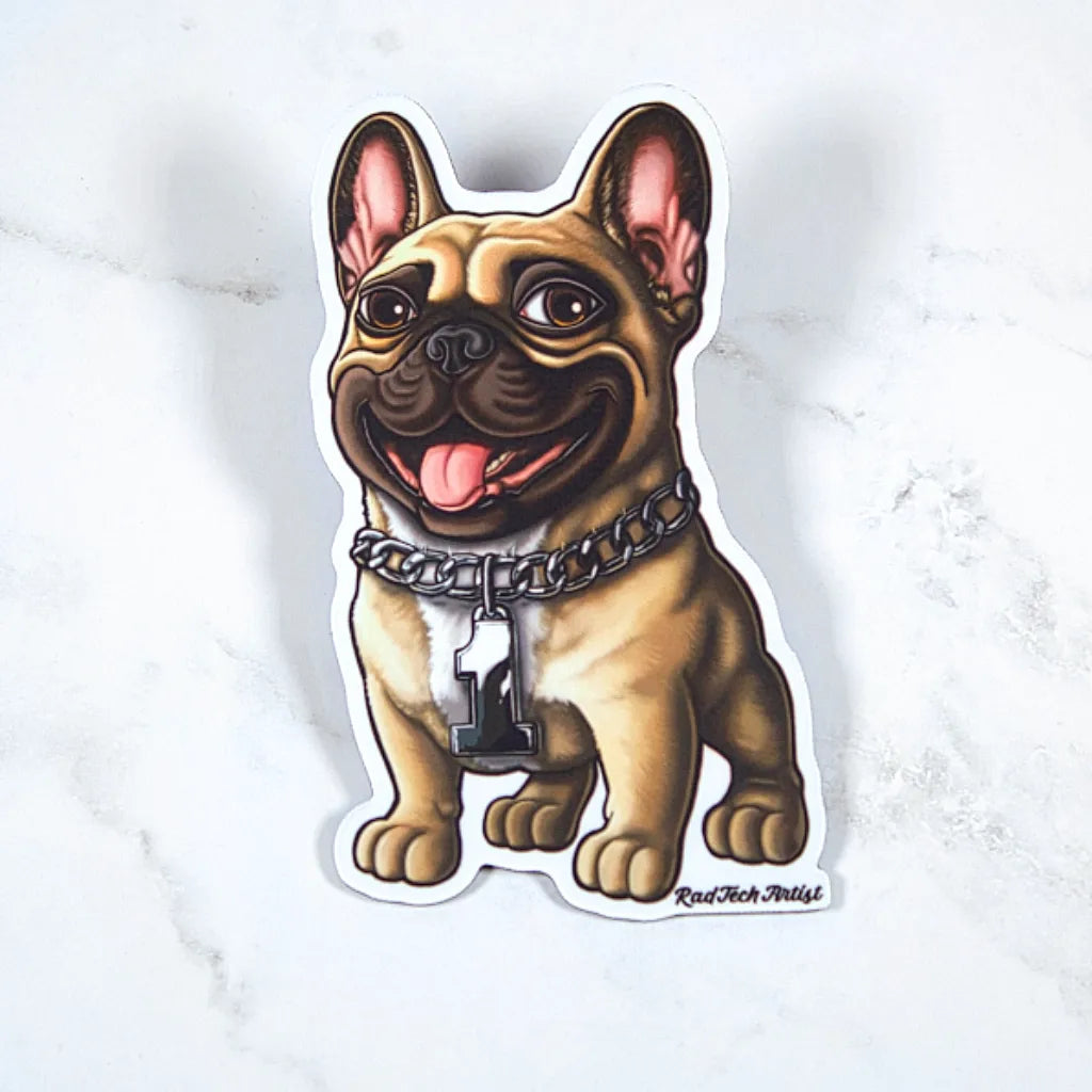 Magnet of a fawn French Bulldog with a chain collar on a light gray background