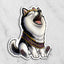 Magnet of a black and white husky with a tiara and 'Drama Queen' sash on a marble background