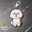 Maltese acrylic dog keychain photographed on a gray background, featuring a white coat illustration and silver lobster clasp.