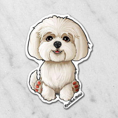 Magnet of a white Maltese with a black nose on a marble background