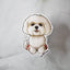 White Maltese dog magnet with fluffy coat displayed on a glass stand against a marble background.