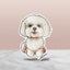 White Maltese sticker with a soft coat, sitting relaxed with aback paws forward and pink paw pads showing.