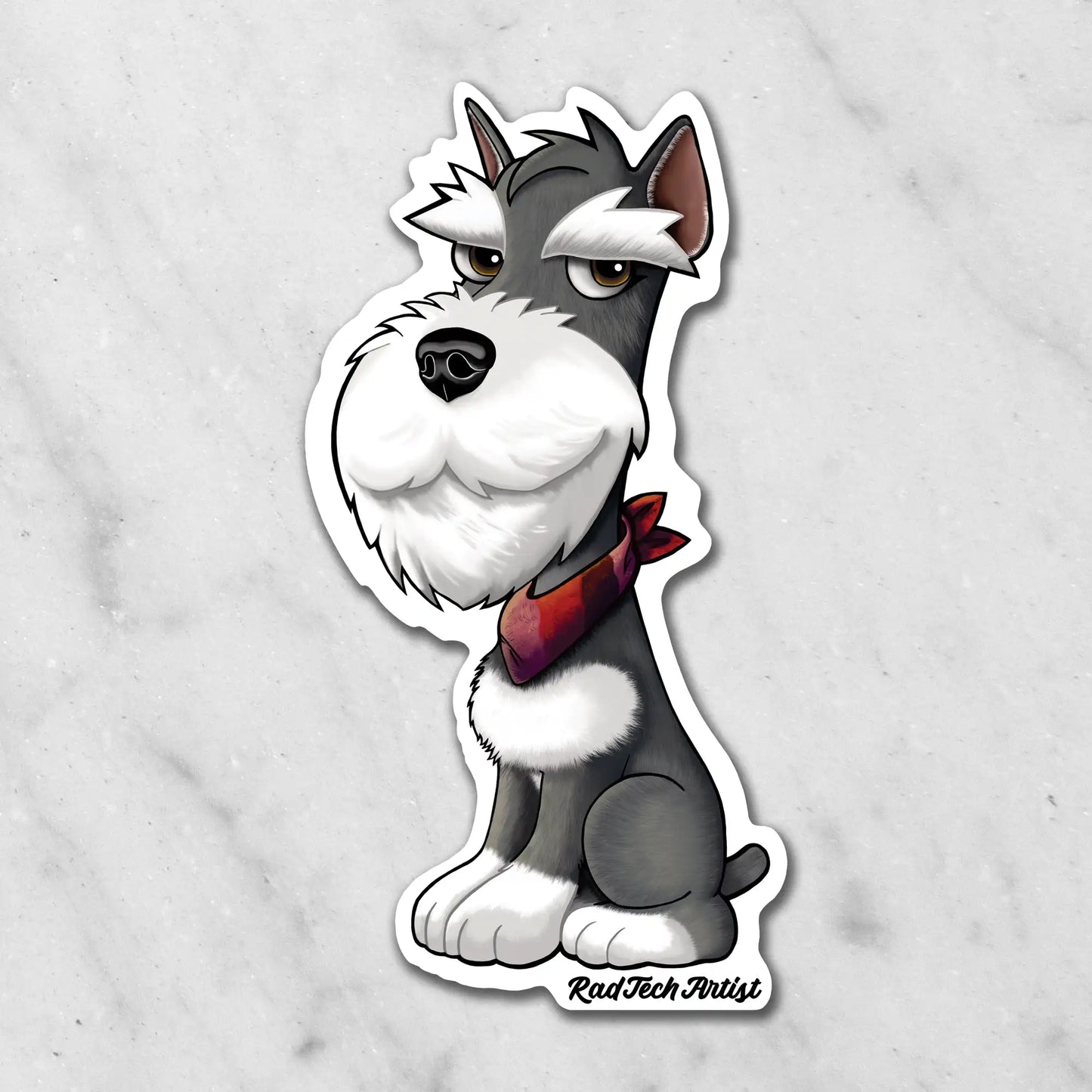 Magnet of a salt and pepper miniature  Schnauzer with a red bandana on a marble background