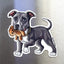 Blue-white Pit Bull dog magnet holding a teddy bear displayed on a stainless steel fridge surface.