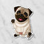 Magnet of a fawn Pug dog with a happy expression on a marble background