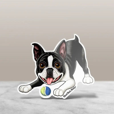 Boston Terrier sticker in a crouched, energetic pose, wearing tuxedo-like markings and playing with a blue and green ball. 