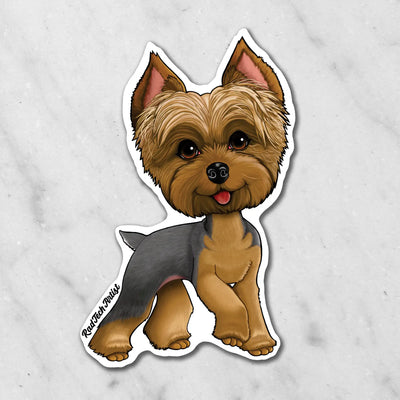 Magnet of a blue and gold Yorkie on a marble background