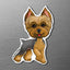 magnet of a blue and gold Yorkie on a metallic surface