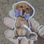 Short video showing a Golden Retriever vinyl sticker with a glitter “I ♥ U” bone being tilted in the light to highlight the sparkling effect.