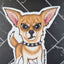 Chihuahua  Sticker