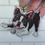 Boston Terrier Keychain