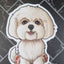 Maltese Sticker