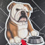 English Bulldog Sticker