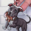 Pit Bull (American) Keychain